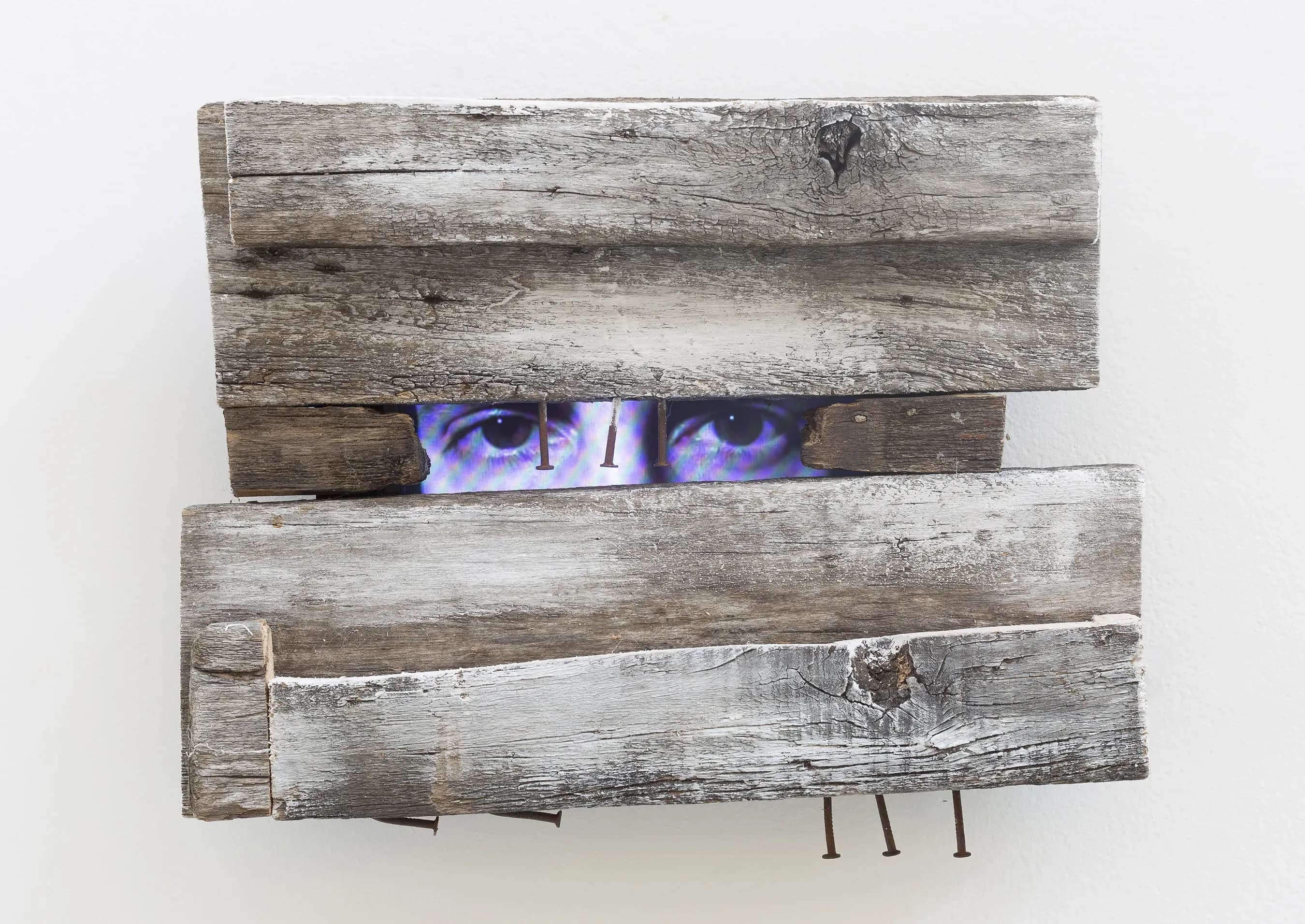 Graciela Sacco — Sem título, 2011