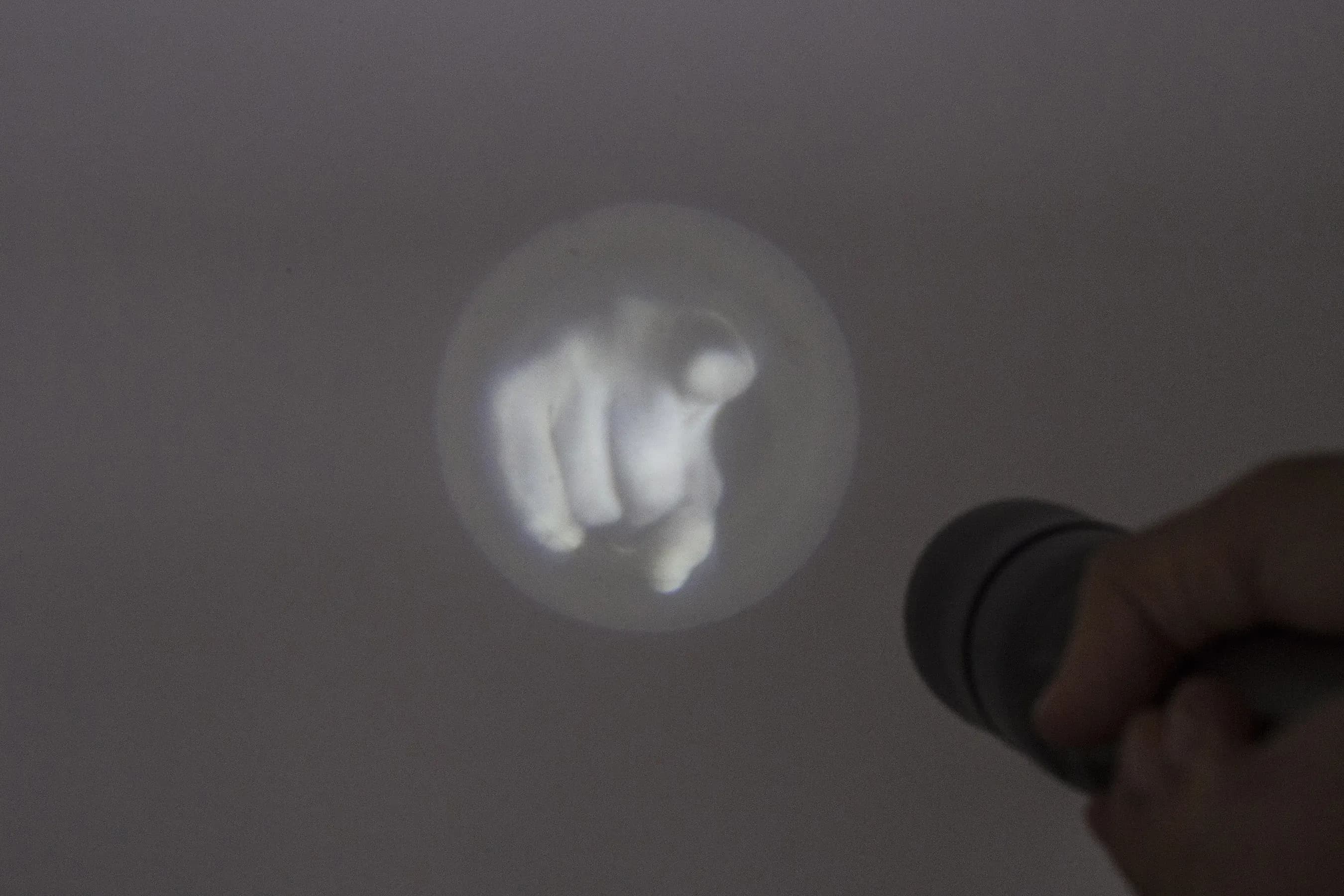 Graciela Sacco — Quién fue? #2, 1998/2014
