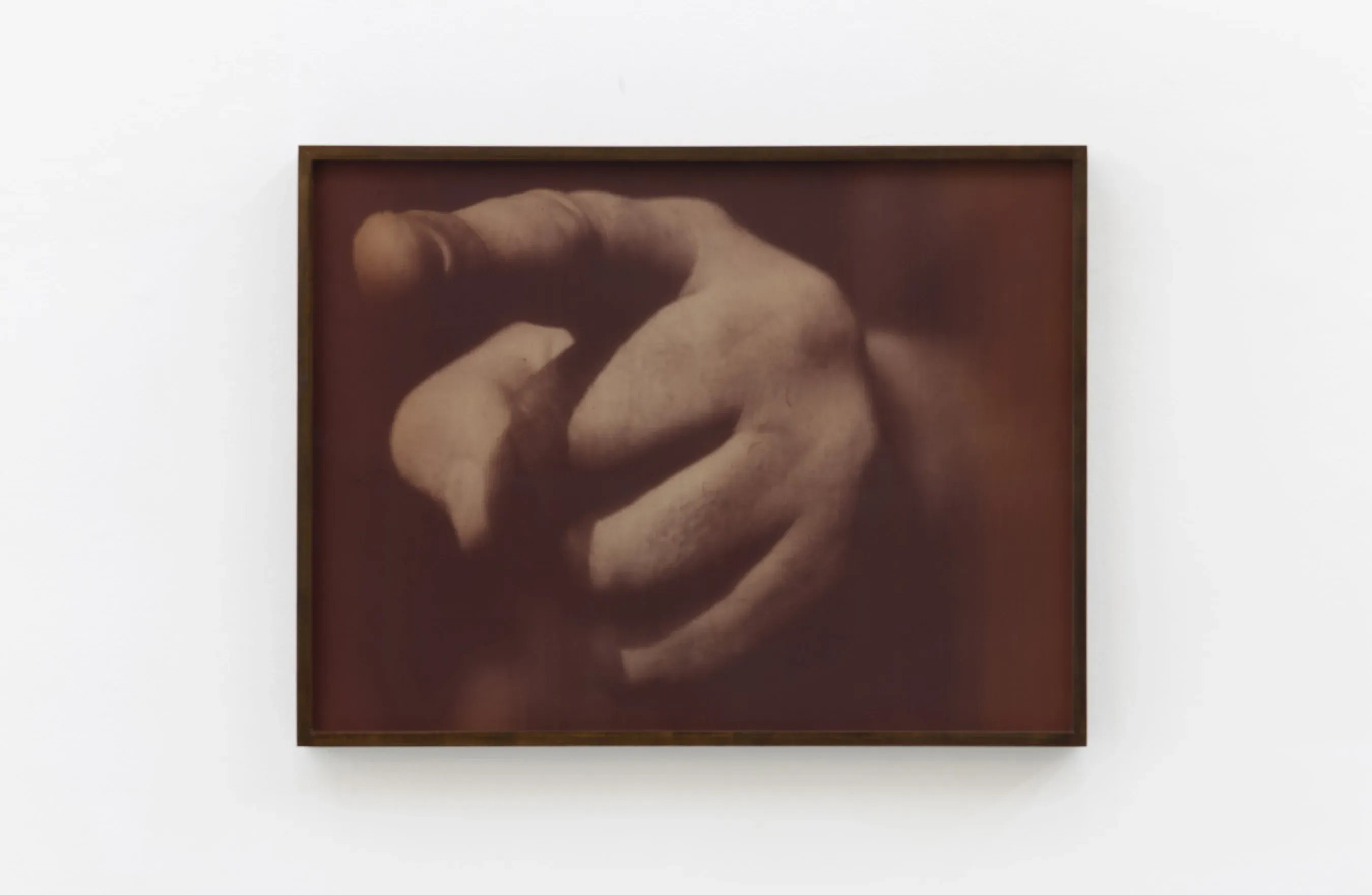 Graciela Sacco — Sem título (Matriz #3), 1998