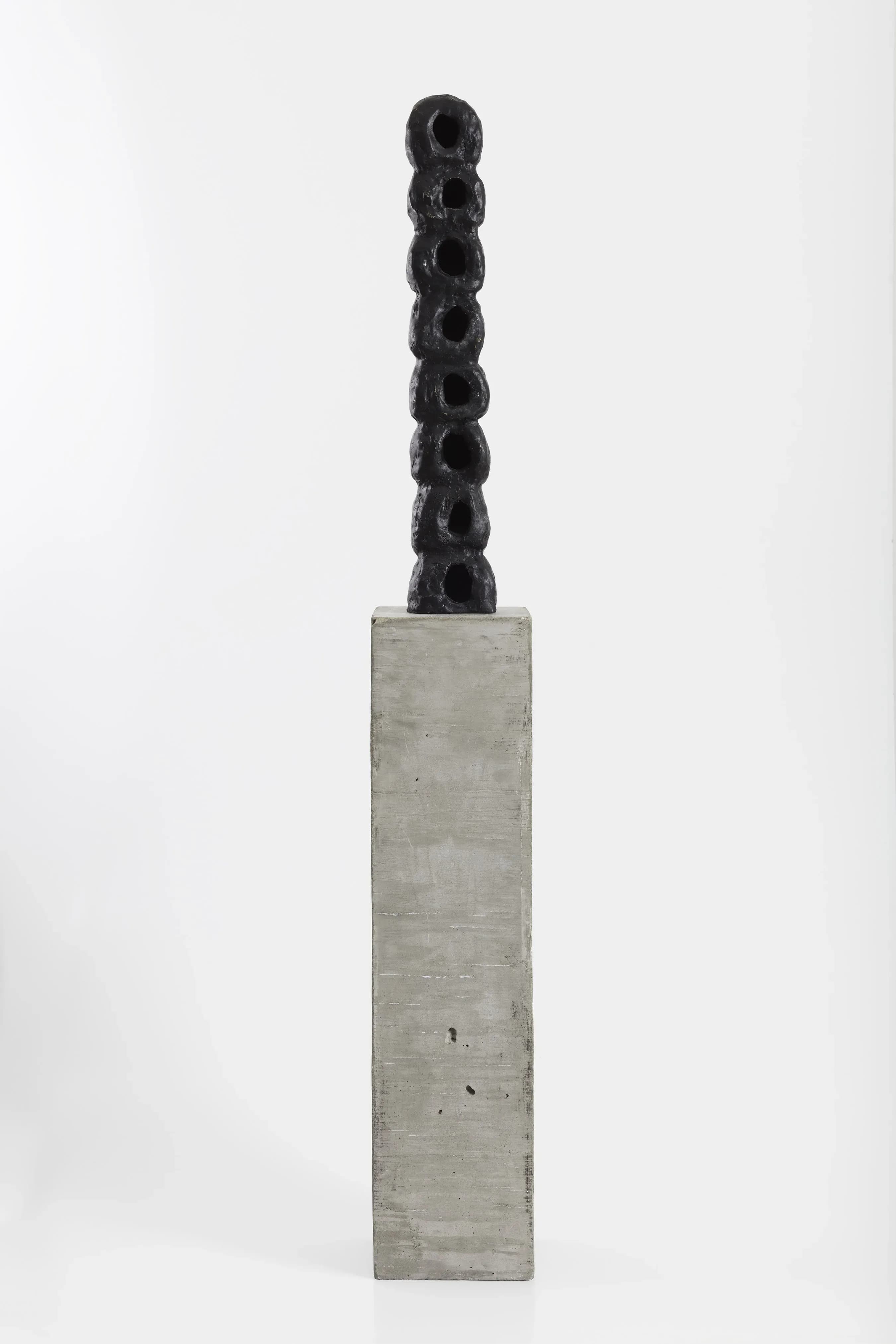 João Castilho — Torre, 2017
