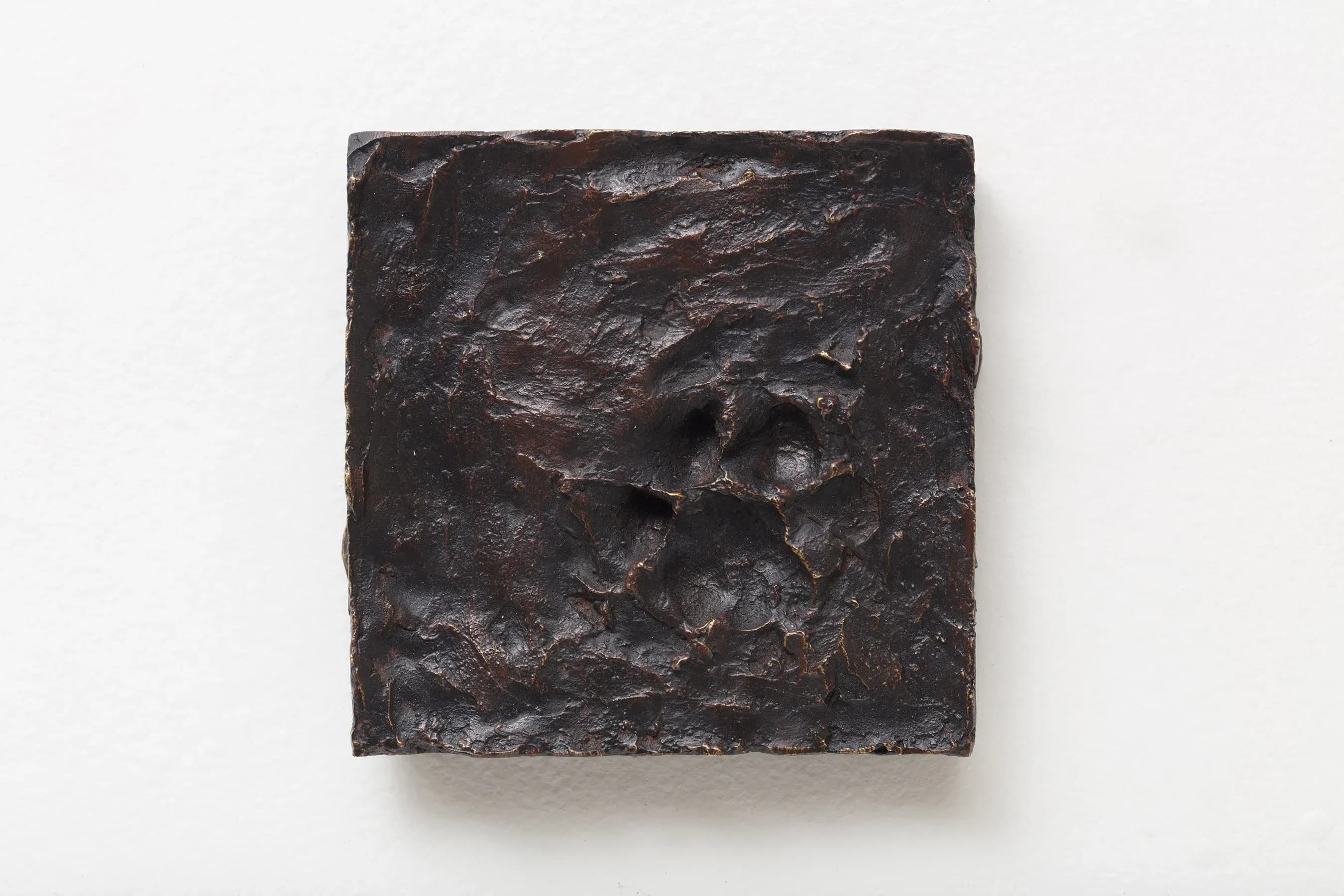 João Castilho — Marca Infinita (Onça Pintada), 2017