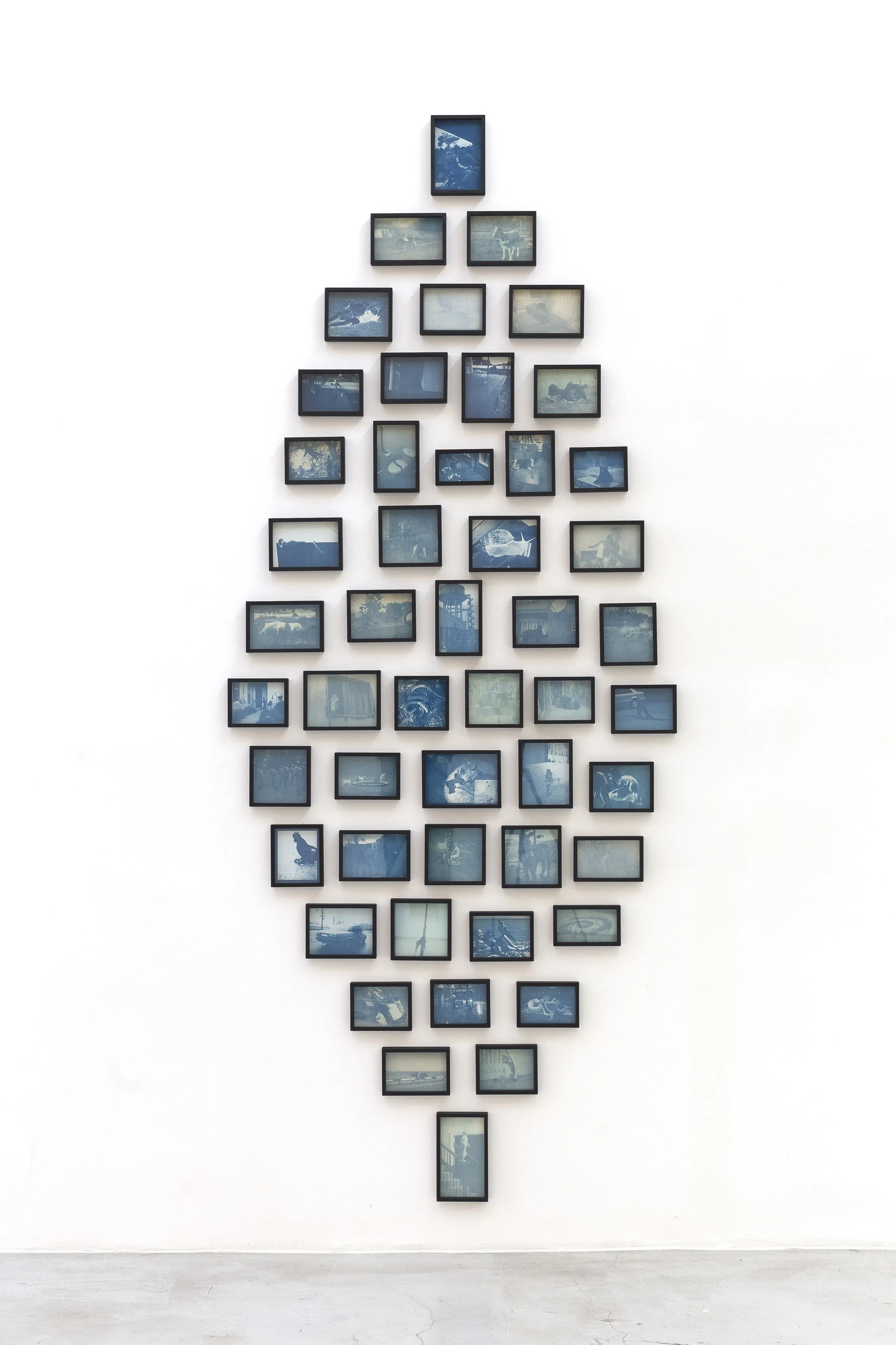 João Castilho — Revanche Animal, 2017