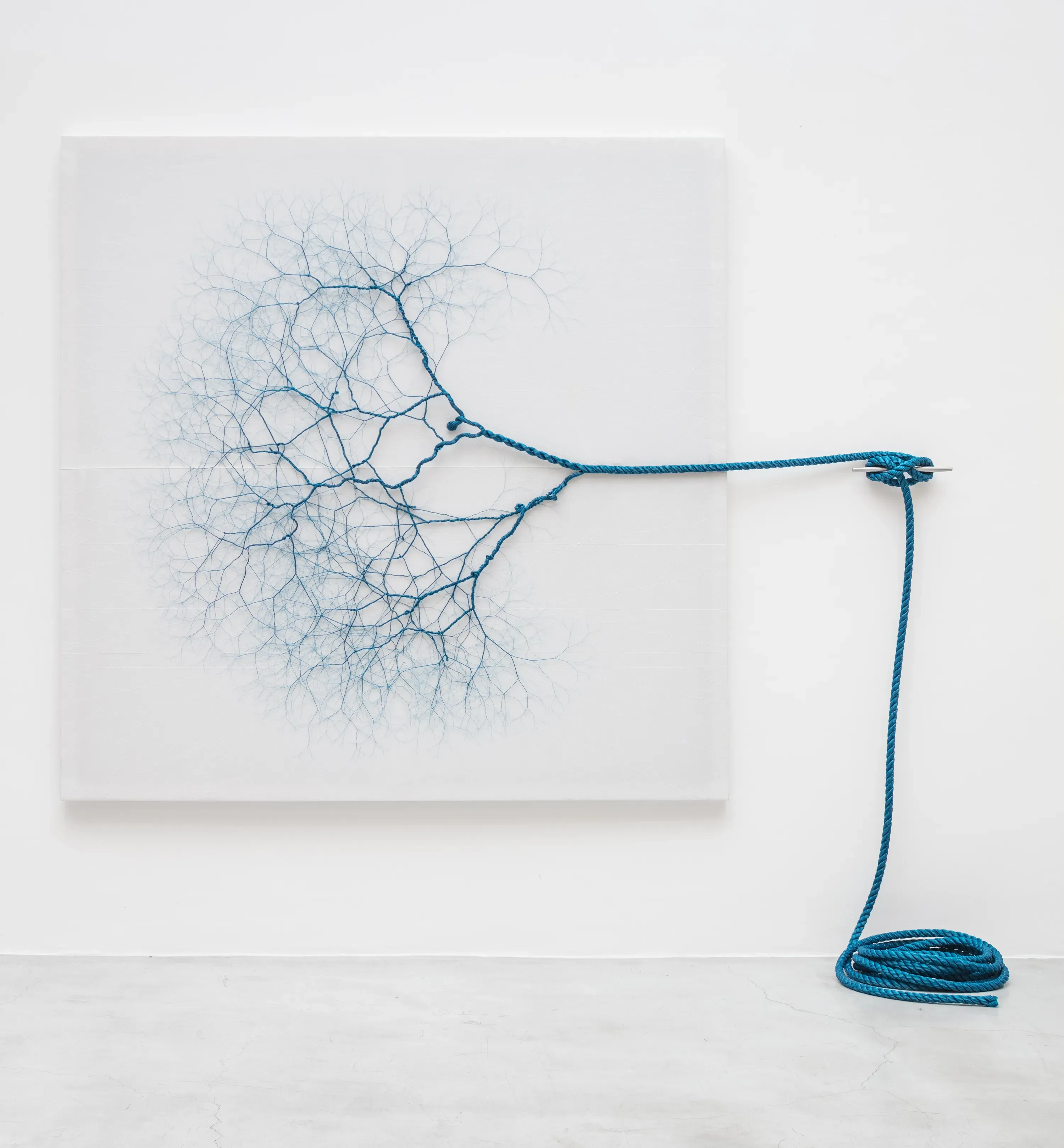 Janaina Mello Landini — Ciclotrama 114 (vento), 2016