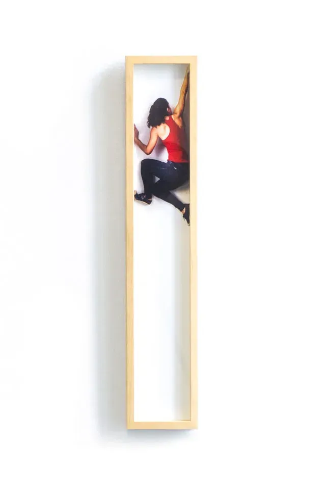 Celina Portella — Quadro cortado/4, 2015