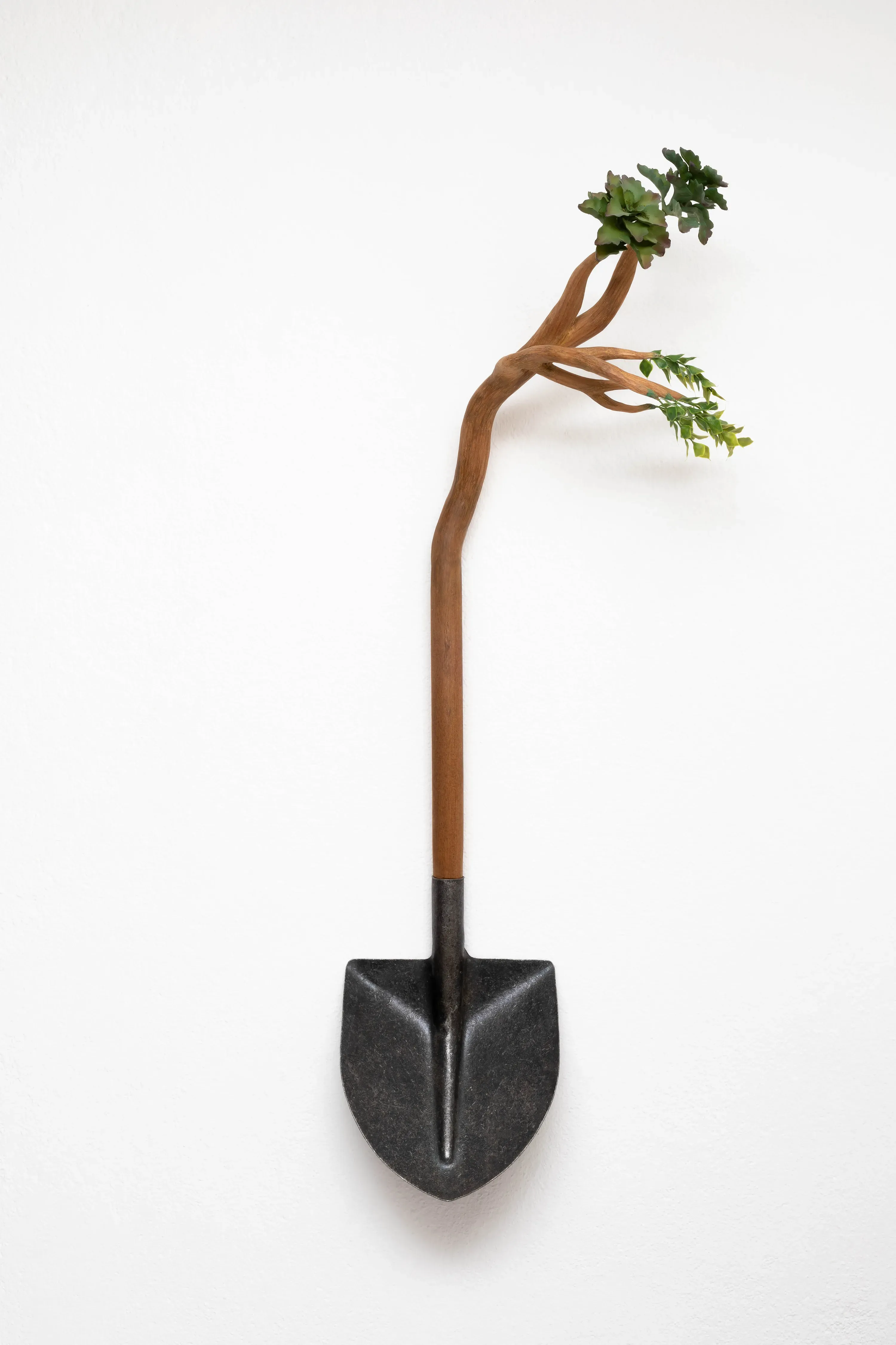 Camille Kachani — Sem título, 2019