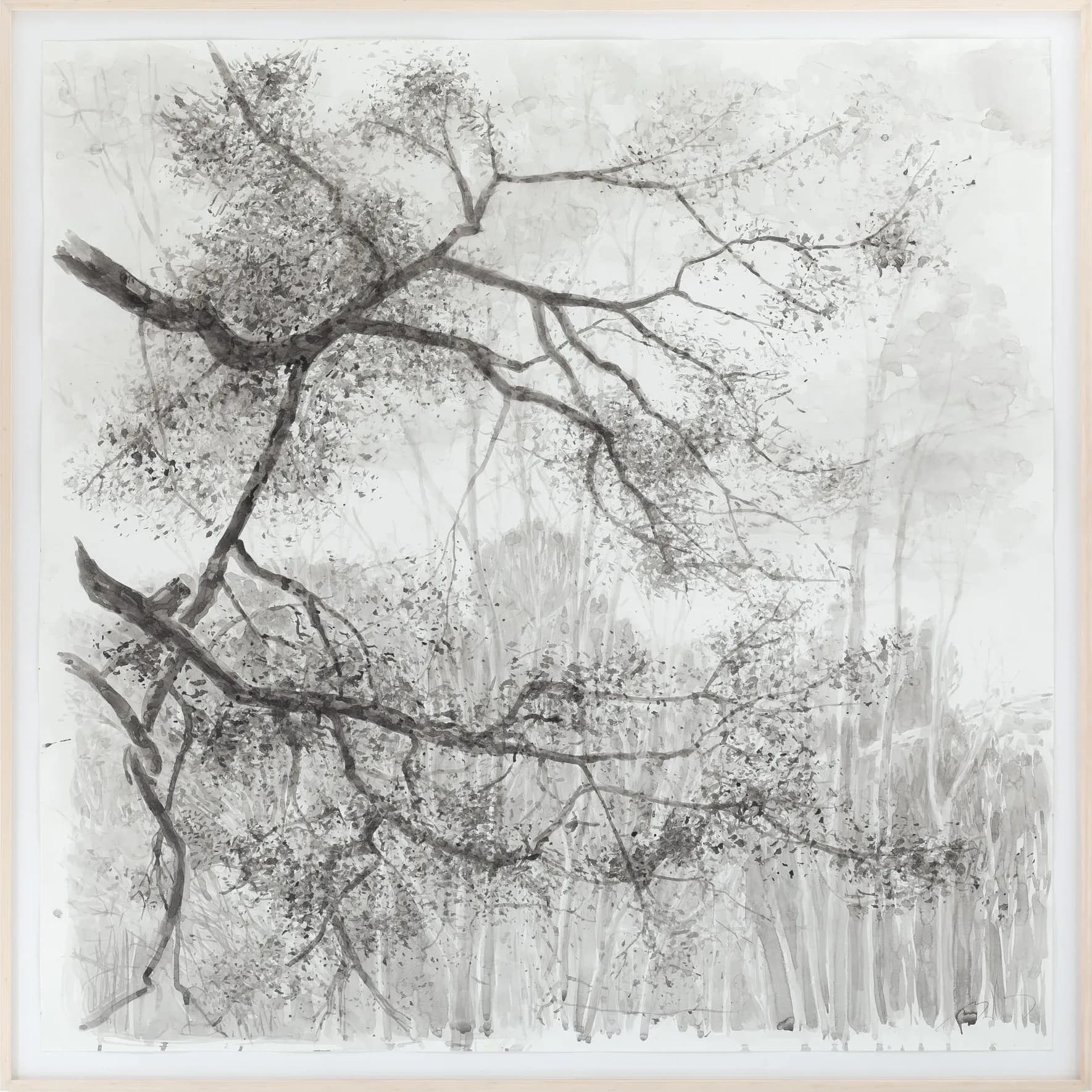 Ricardo van Steen — Sem título, 2019