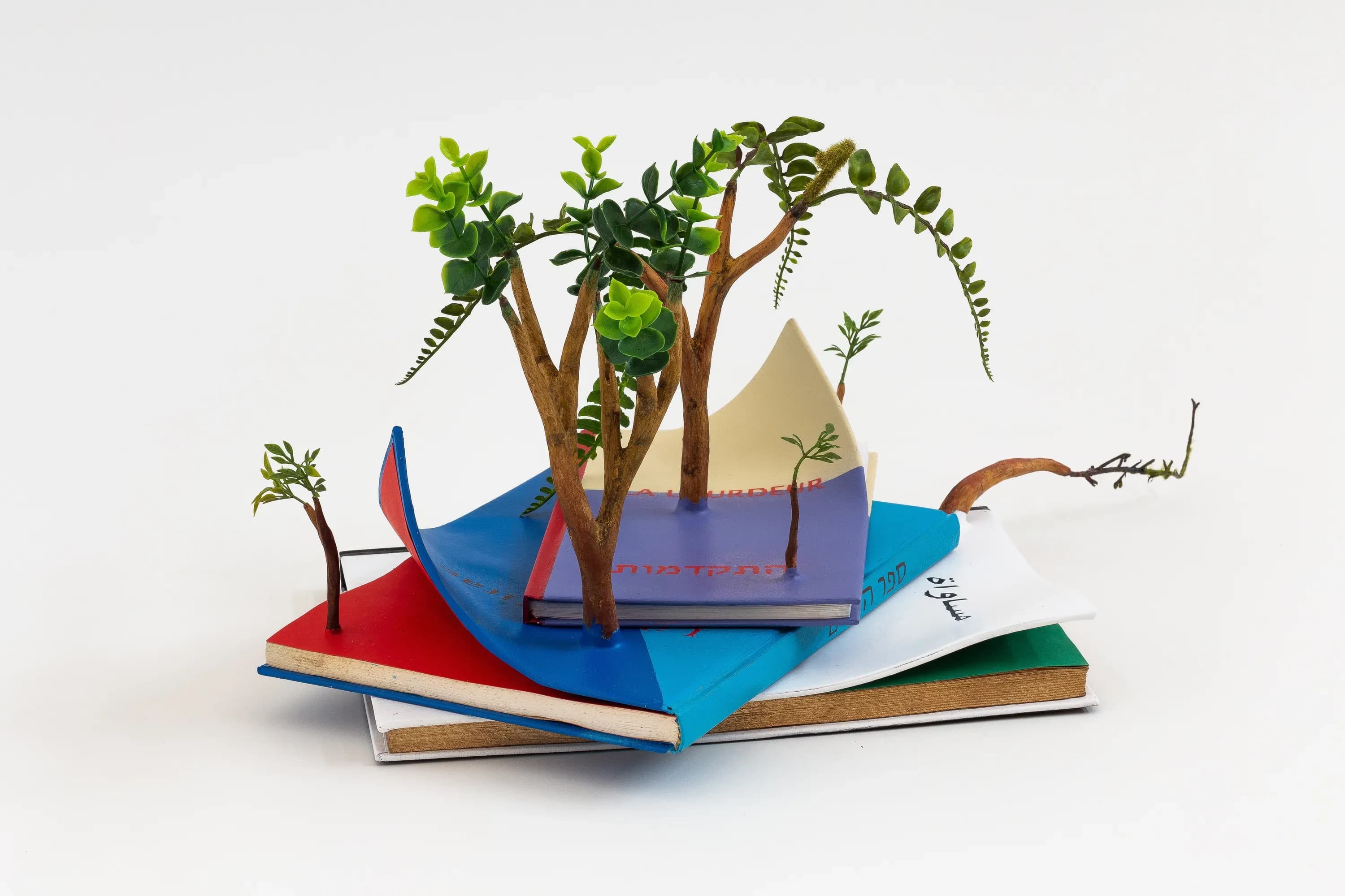Camille Kachani — Três livros fotossintéticos, 2020