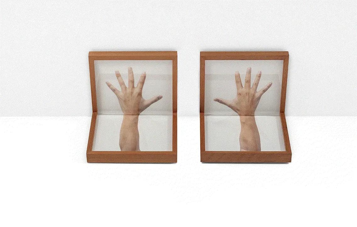 Celina Portella — Escora, 2017