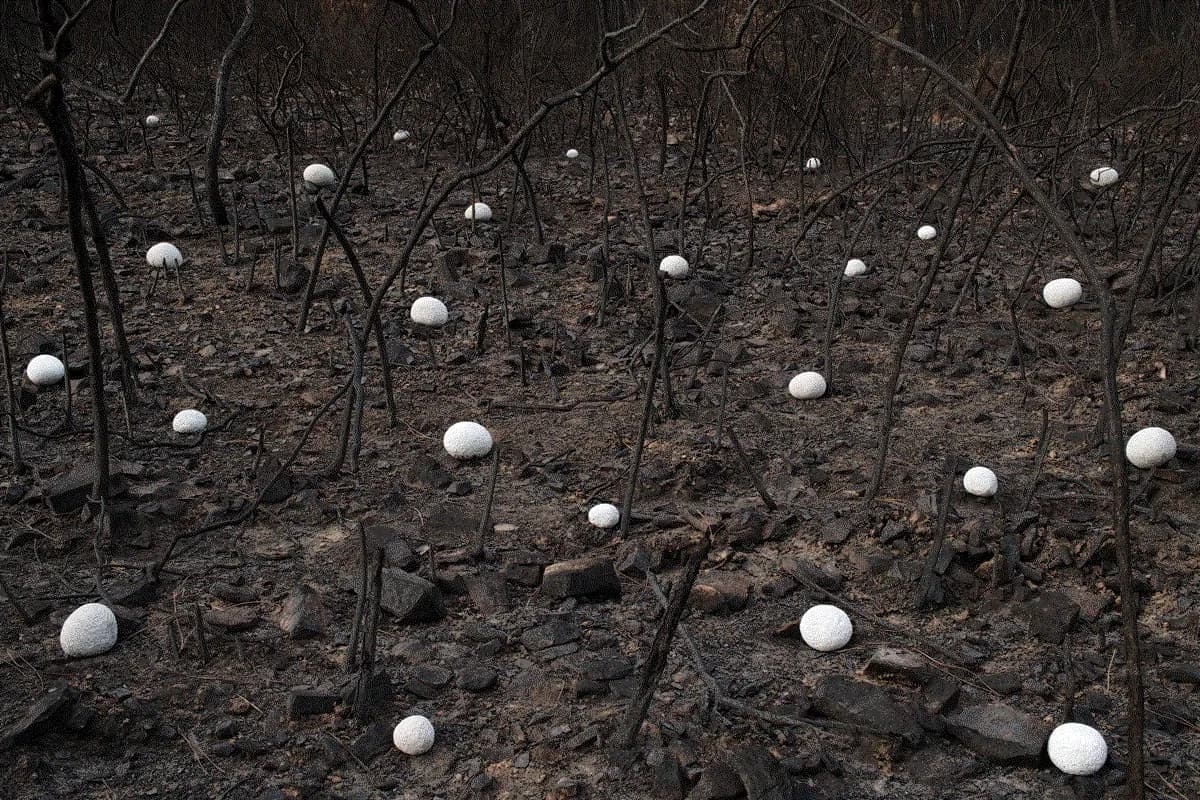 Rodrigo Braga — Ponto Zero #05, 2019