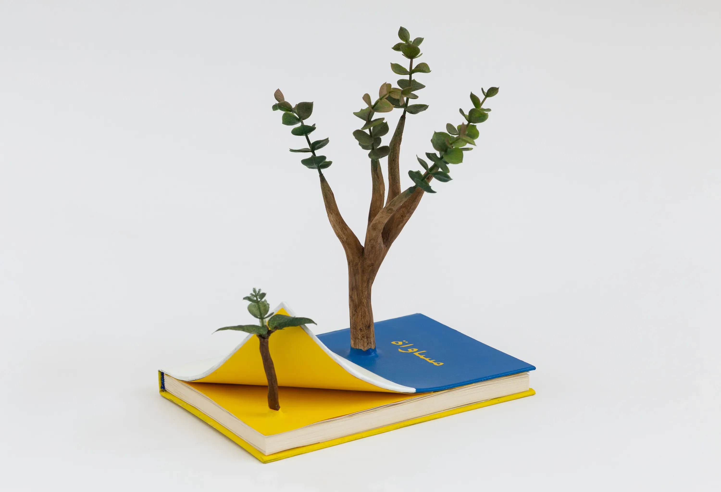 Camille Kachani — Illusioni eterni, 2020