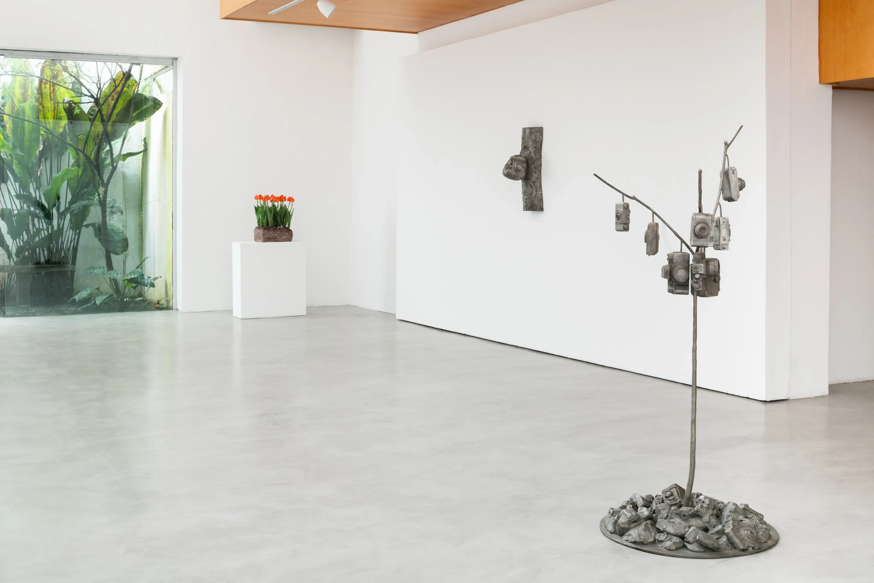 Zipper Galeria