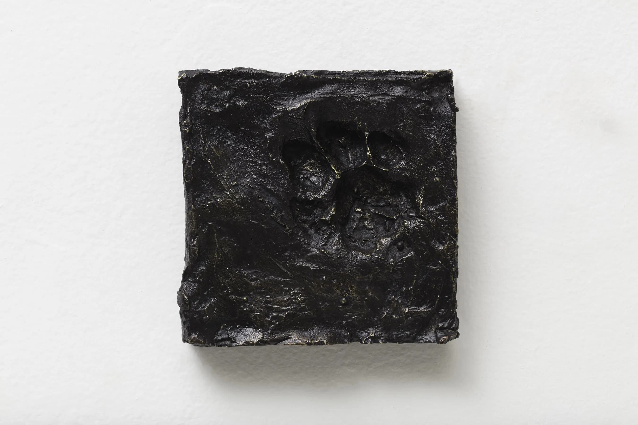 João Castilho — Marca Infinita (Onça parda), 2017