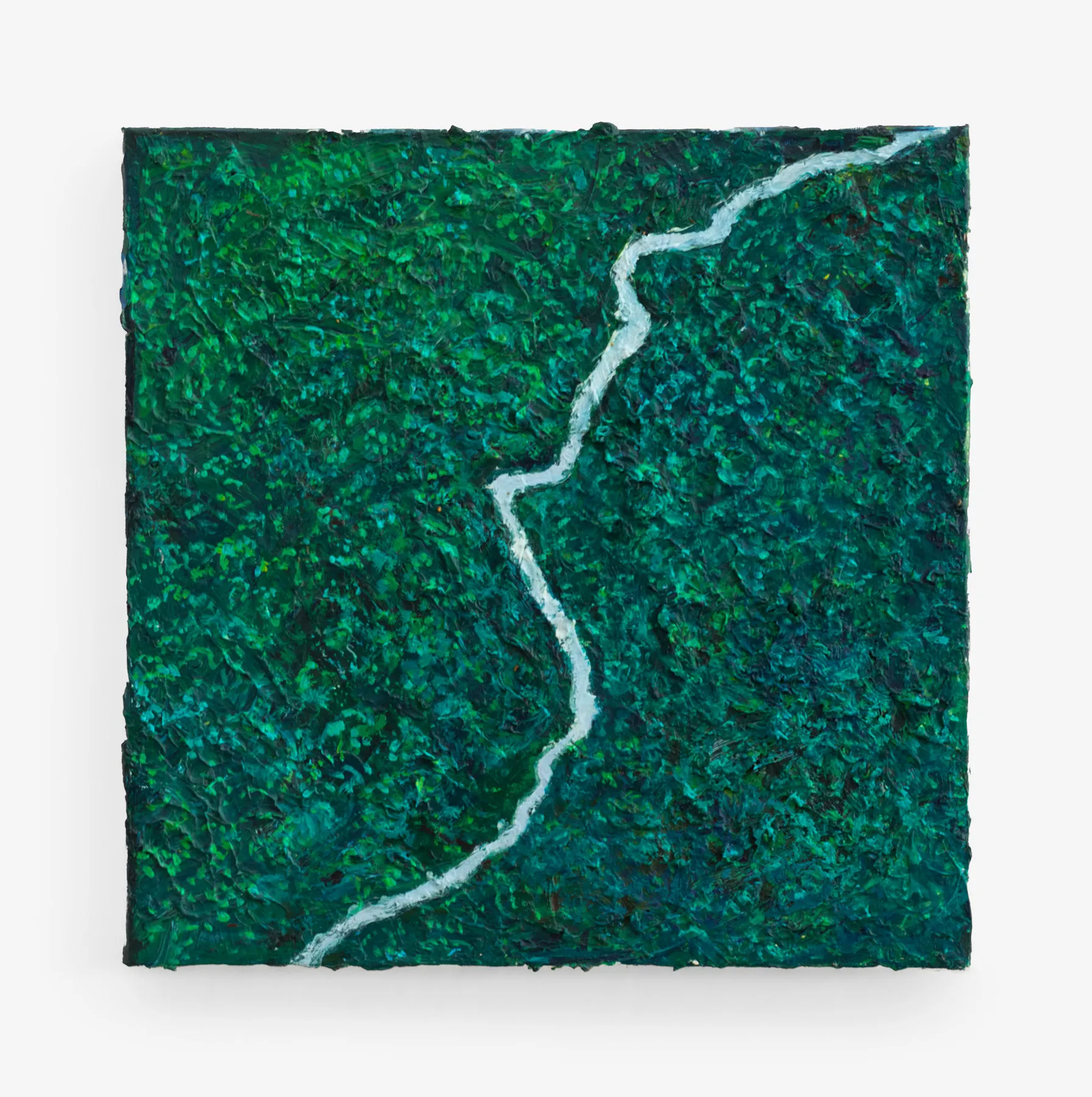 Miguel Penha Chiquitano — Floresta escura, 2025