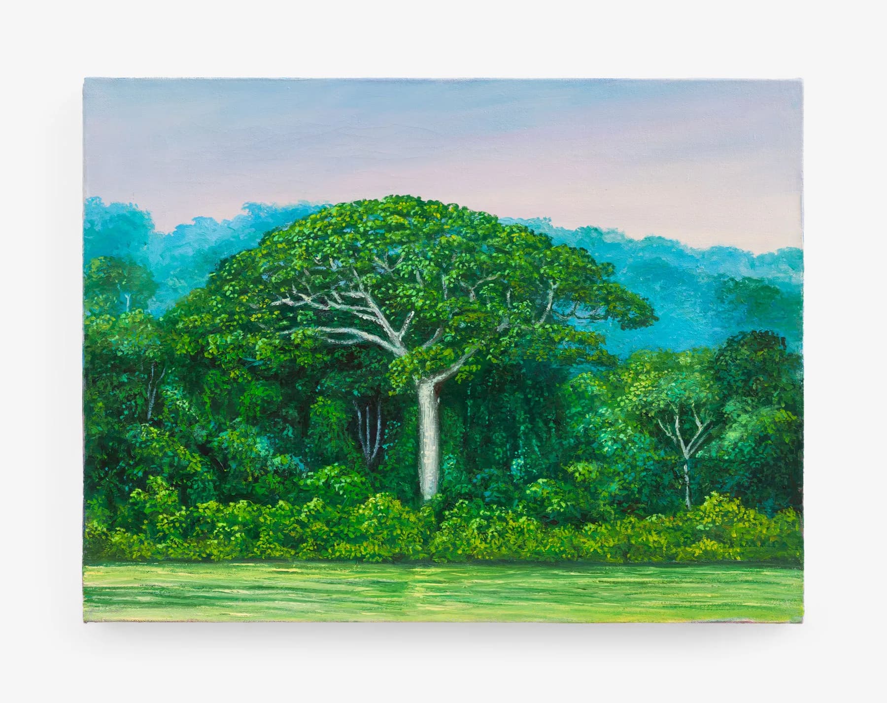 Miguel Penha Chiquitano — Rio Teles Pires, 2025