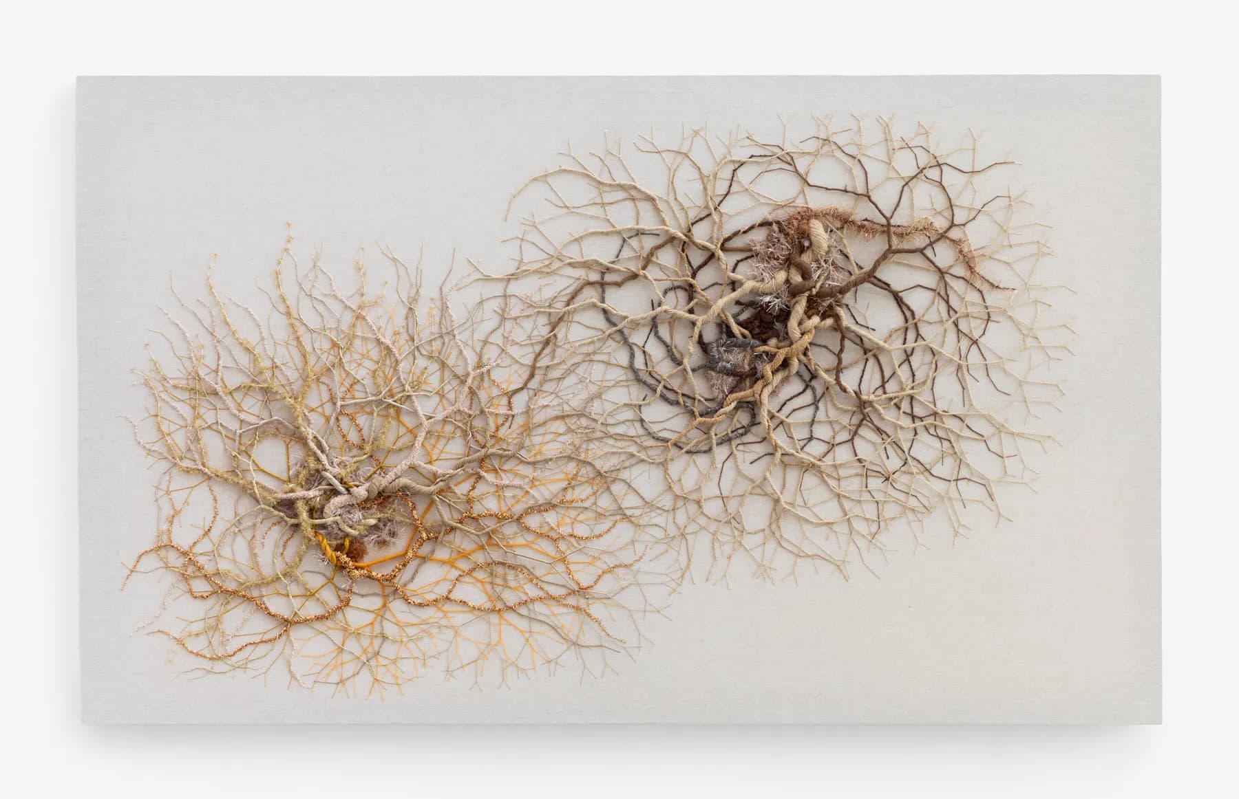 Janaina Mello Landini — Ciclotrama 416 (fungi), 2026