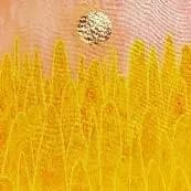 Ramonn Vieitez — O novo sol nasceu, 2023