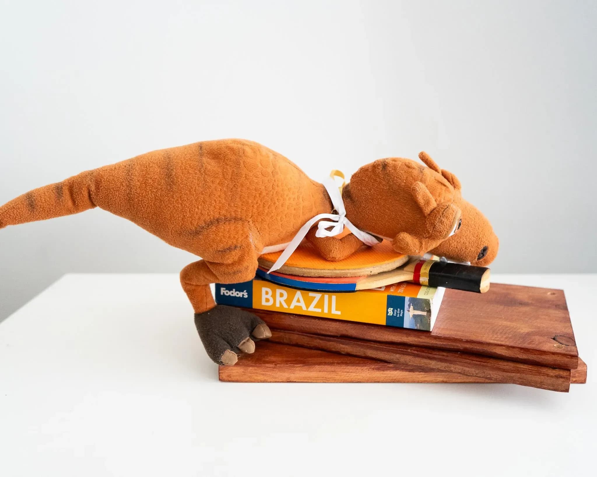 Fil Souza Vieira — Tóigod’ino em repouso, 2022